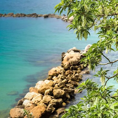 Casa Flora فندق مبيت وإفطار 4*